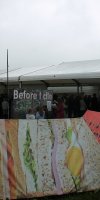 img_8562